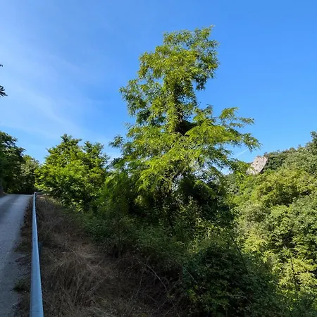 Ca' Gerani Valpolicella Апартаменты *